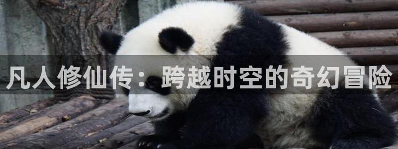 囧次元正版官方下载