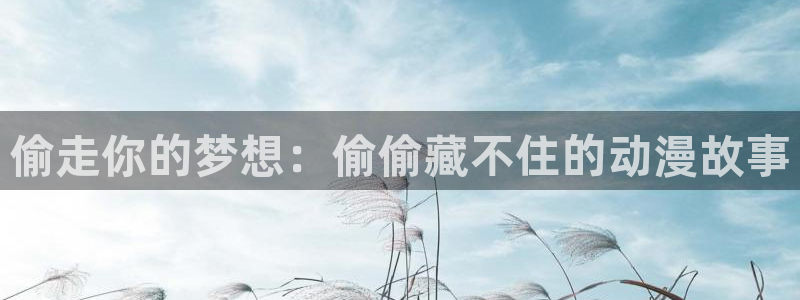 囧次元下载最新