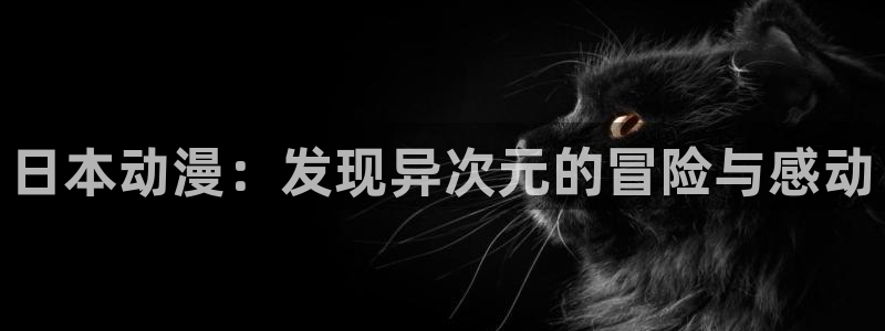 囧次元官方网站下载